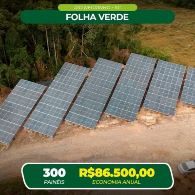 Folha Verde